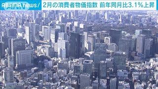 2月の消費者物価指数　前年同月比3.1％上昇　「食料」上昇続くも「エネルギー」は低下(2023年3月24日)