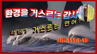 [군포영안교회] 환경을 거스르는 감사 (시111편 1절- 10절) (2021. 2. 14)