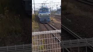 2059レ代走EF66 129 枇杷島駅通過カンガルーライナー SS60