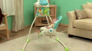 Fisher-Price Precious Planet Deluxe Cradle Swing