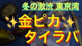 冬の激渋 東京湾 金ピカ タイラバ #タイラバ  #東京湾 #真鯛釣り #オフショア