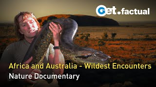Andreas Kieling - Wildest Encounters in Africa and Australia | Full Documentary