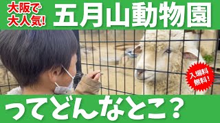 【入場無料】五月山動物園に行ってみた【大阪お出かけスポット紹介】