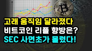 비트코인 고래 움직임 변화 / BTC 리플 XRP 폭등갈까? / SEC 증권법 언급하며 CFTC 경계 이유 중국과 패권 경쟁