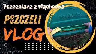 Pszczeli VLOG 55 - paczki od pasieki BURNAT, wymiana zasuwek w ulach, kontrola miodów pitnych.