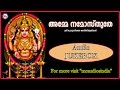 അമ്മേ നമോസ്തുതേ | AMME NAMOSTHUTHE | Hindu Devotional Songs Malayalam | Chottanikkara Devi Songs