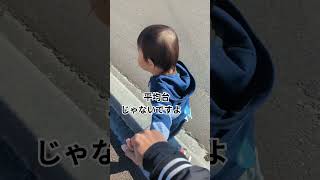 散歩中＃赤ちゃん＃baby＃幼児＃子供＃散歩＃元気＃わんぱく＃癒し＃short＃shorts＃shortvideo＃shortsvideo