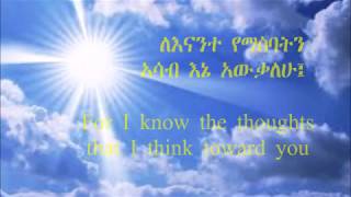 Amharic Bible Verses and English ት.ኤርምያስ 29:11 13 ( JEREMIAH 29:11- 13)