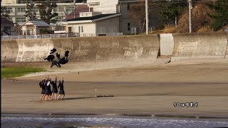 20210318春の梅津寺白石の鼻