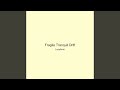 Fragile Tranquil Drift