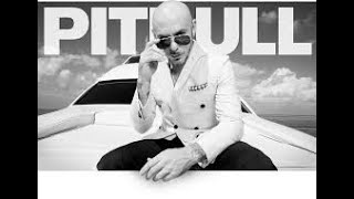 Pitbull feat Havana Brown - We Run The Night (Lyrics)
