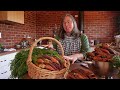 garden harvest carrots central victoria australia vegetable gardening zone 9b