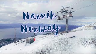 Things to Do in NARVIK, NORWAY