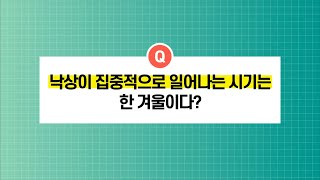 [건강정보] 낙상이 집중적으로 일어나는 시기는 한 겨울이다?