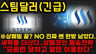 [스팀달러]🌈상폐빔 끝? NO 진짜 센 한방 더 남았다. 세력들 더산다. 상폐코인 필승전략!\