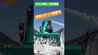 スノーブロワで除雪作業メロン農家/寺坂農園農業スタッフ募集中/短期スタッフ/住み込みOK/北海道/富良野　#shorts