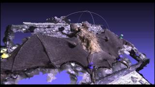 Bat specimen photogrammetry results