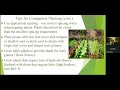 companion planting what is it u0026 why april 2023