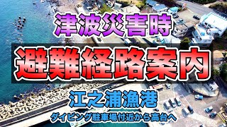 【避難経路】津波災害時の高台への経路 #江之浦漁港