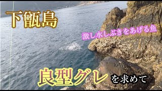 鹿児島県【下甑島】へ良型グレを求めて！甑の海は一味違う？！