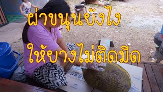 ผ่าขนุนยังไงไม่ให้ยางติดมีด