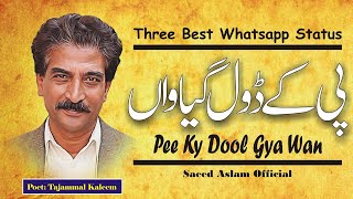 Poetry Pee Ky Dool Gya Wan | Saeed Aslam | Punjabi Shayari Whatsapp Status New Punjabi Poetry