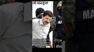 El chapo unbelievable escape plan from prison