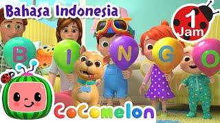 BINGO Peliharaanku CoComelon Indonesia Lagu Anak N...