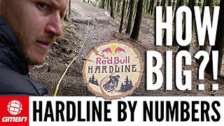 How Insane Is Red Bull Hardline? | Hardline By Numbers