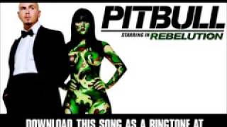 Pitbull - Triumph [ New Video + Download ]