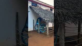 சென்னைல இப்படி ஒரு இடமா!!! Dakshina Chitra | Best Tourist place in Chennnai