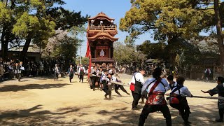 2023年 武豊町長尾春祭り 本祭 市場組神宮車（武雄神社曳き込み）