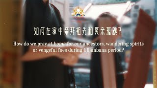 Why do we need to honour our ancestors?  佛教徒应该拜祖先吗？