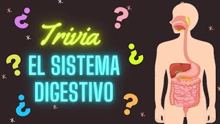 ¿Cuánto sabes del sistema digestivo? [Trivia] Video educativo para niños.