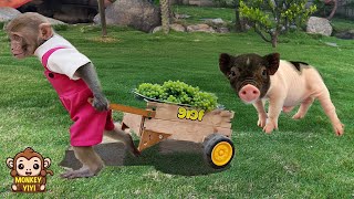 Smart YiYi takes the piglet out when he is sad