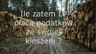 Ile podatków płacą Lasy Państwowe z własnej kieszeni?