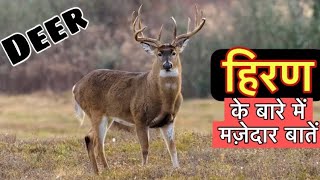 हिरण के बारे में 22 रोचक तथ्य || Interesting facts about Deer in Hindi