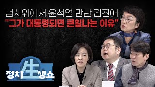 [정치생쇼] #32-2 법사위에서 윤석열 만난 김진애 \