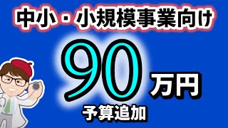 中小企業・小規模事業者向け生産設備導入支援・予算追加・設備投資補助金最低賃金の引上げに向けた環境整備を支援する業務改善助成金【中小企業診断士YouTuber マキノヤ先生】第1998回