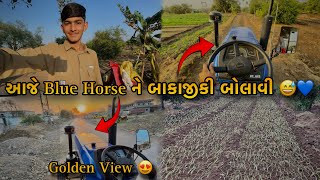 આજે Blue Horse ને બાકાજીકી બોલાવી 😂💙 || Blue Horse 63 ||