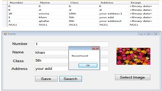 How To Search Records In Sql Server Using Vb.net