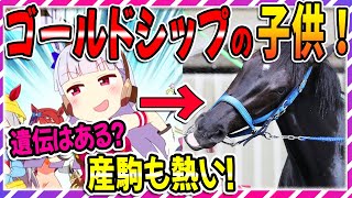 【ウマ娘 競馬】気になるゴルシ産駒まとめ！期待の9選！【ゆっくり解説】