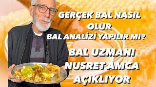 GERÇEK BAL NASIL OLUR ANALİZİ YAPILIR MI BAL UZMANI NUSRET AMCA AÇIKLIYOR