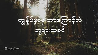 နေ့စဉ်ခွန်အား ၂၀၂၄ ခုနှစ်၊ ဒီဇင်ဘာလ  ၃၀  ရက်