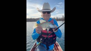 13” Slab White Crappie on a Megabass jerkbait at Rollins Lake! 12/28/24