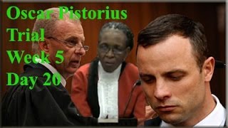 Oscar Pistorius Trial: Thursday 10 April 2014, Session 1