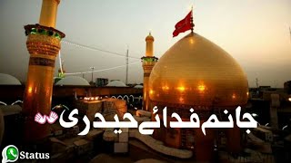 Janam Fida E haideri Ya Ali _ Most Beautiful Qasida Whatsapp Status _ Lyrics _ Ertugrul Drama