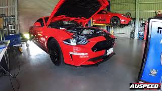 2018 Mustang Dyno