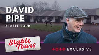 David Pipe 2024-25 Cheltenham Festival Stable Tour | Windbeneathmywings Champion Bumper bound | Tote