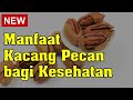 Manfaat Kacang Pecan bagi Kesehatan